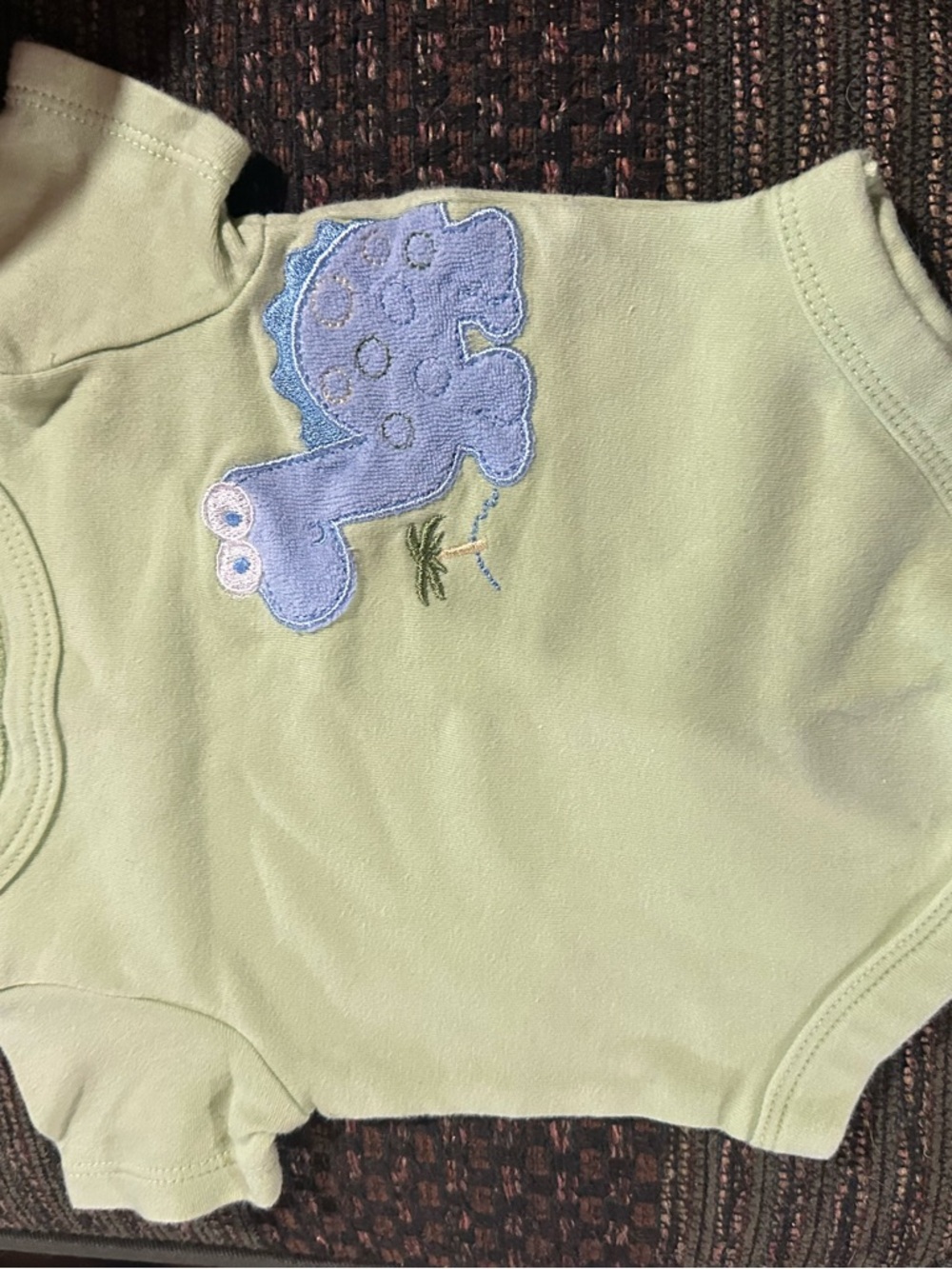 Garanimals Light Green Bodysuit with Blue Dinosaur Applique
